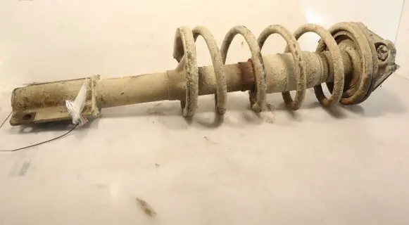 Fiat Ducato Front shock absorber with coil spring