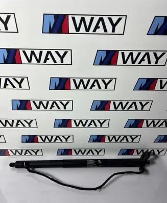 BMW X3 F25 Tailgate strut 7287805