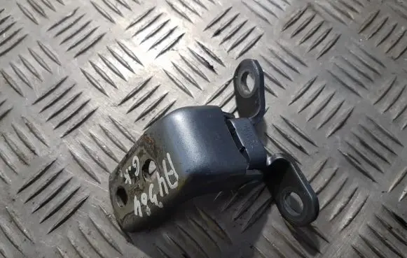 Rear door lower hinge