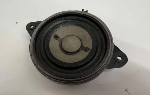 Panel speaker