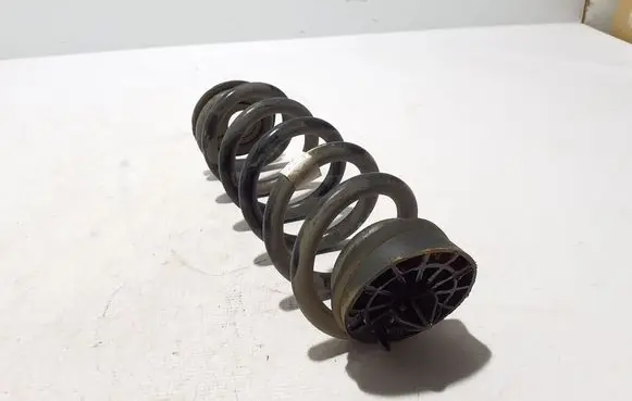 Rear coil spring