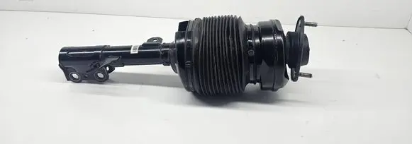 Lexus RX 300 Air suspension front shock absorber 4802048040