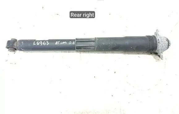Volkswagen Atlas Rear shock absorber/damper 3QF512011AB