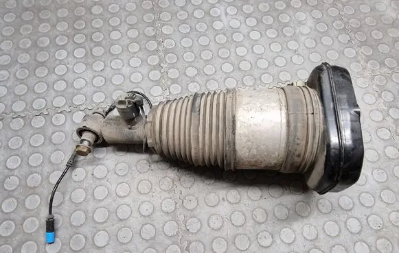 BMW i4 Shock absorber/damper/air suspension 5A49DD3 13981113 755A49DD303