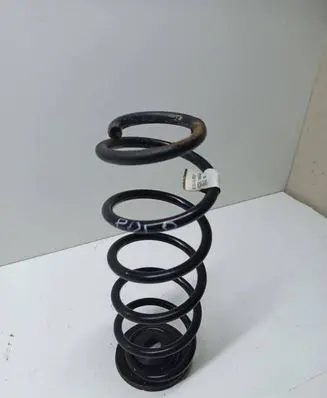 Front coil spring