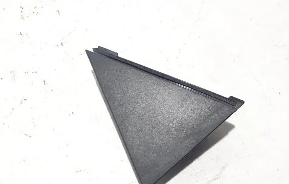 Rear door trim (molding)