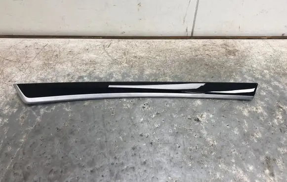 Other front door trim element