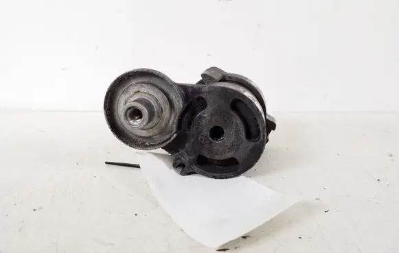 BMW 3 E46 Timing belt/chain tensioner 11287524267
