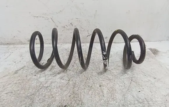 Peugeot 407 Front coil spring