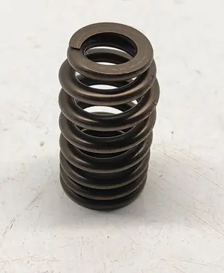 Dodge Challenger Valve spring 5037382BC