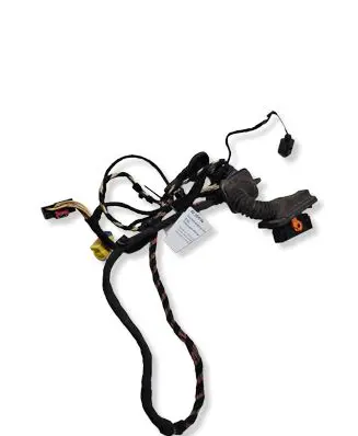 Volkswagen PASSAT CC Front door wiring loom 3C8971121AE