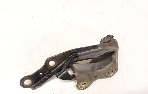 Lexus RX 300 Engine bonnet/hood hinges 