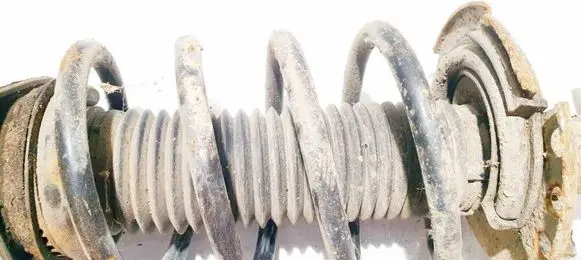 Ford Focus Front coil spring