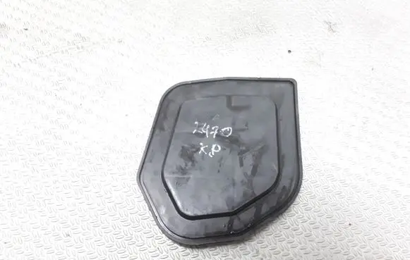 Headlight/headlamp dust cover