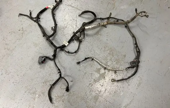 Engine installation wiring loom