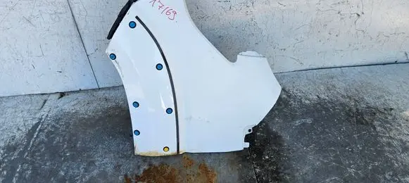 Fiat Ducato Fender