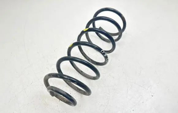 Hyundai Getz Rear coil spring