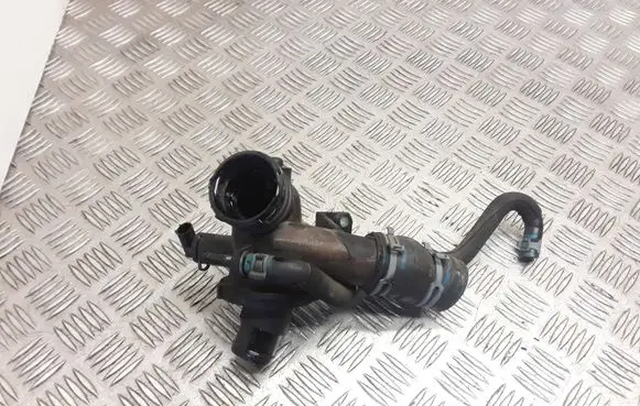 Thermostat/thermostat housing