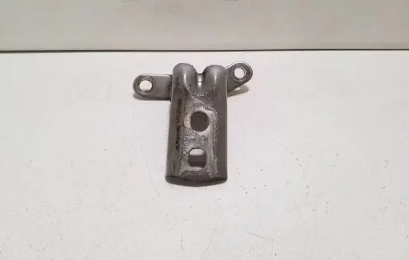 Opel Ampera Front door lower hinge 