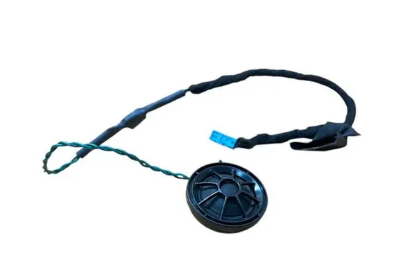 Front door speaker