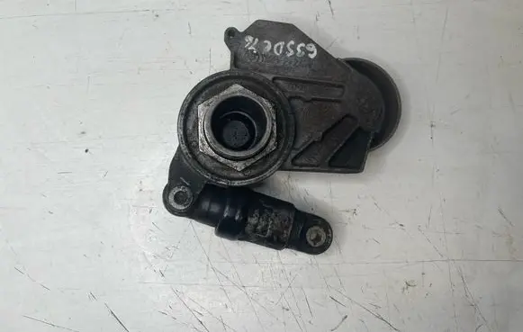 BMW 3 E46 Generator/alternator belt tensioner 11282247175