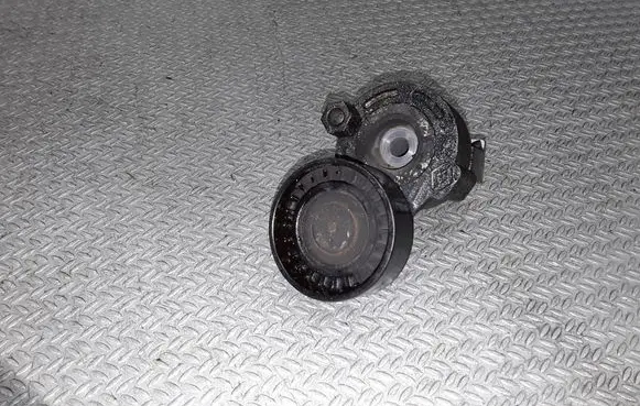 Dacia Logan Pick-Up Generator/alternator belt tensioner 8200608550