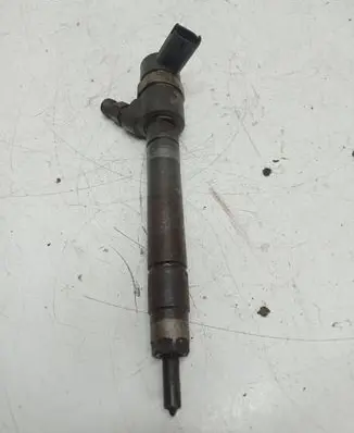 Volvo V70 Fuel injector 0445110251