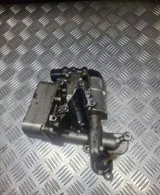 Opel Vivaro Engine oil radiator 8200781890