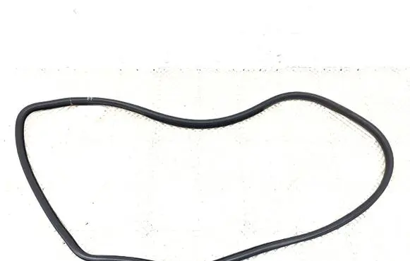 BMW X6 E71 Rubber seal front door (on door) 