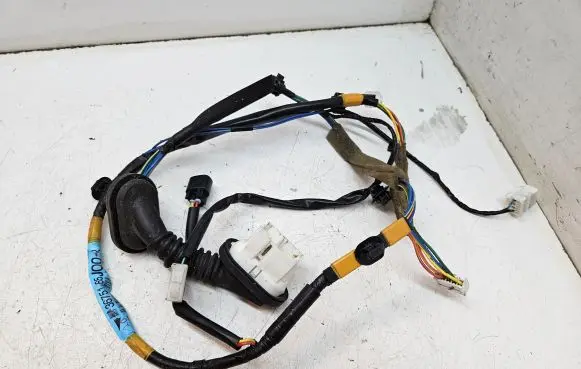 Rear door wiring loom