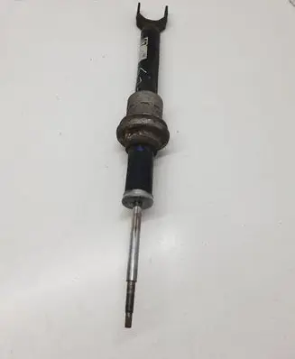 Mercedes-Benz CLS C219 Front shock absorber/damper A2193200713