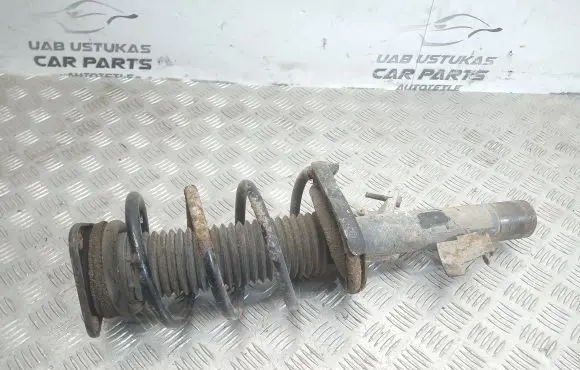 Ford Focus Front shock absorber/damper