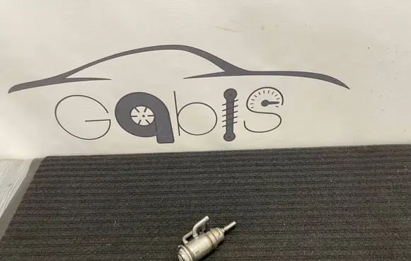 BMW 3 G20 G21 AdBlue injector 8580209