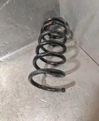 Renault Trafic II (X83) Front coil spring 