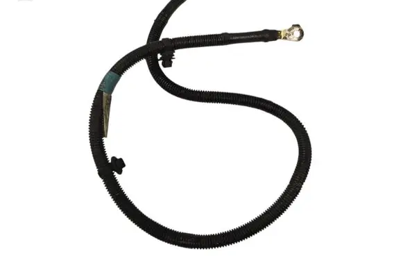 Tesla Model S Negative earth cable (battery) 103227480P