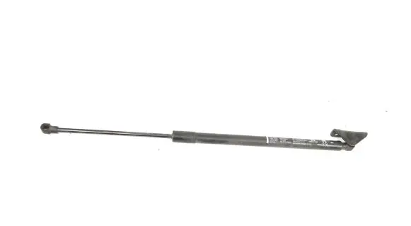 Tailgate/trunk strut/damper