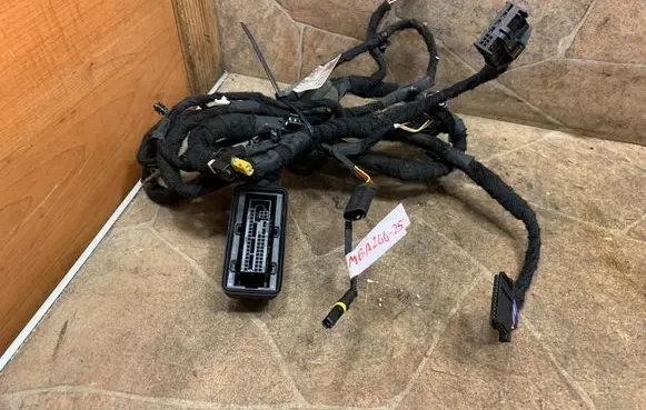 BMW 3 G20 G21 Front door wiring loom 5A206B8