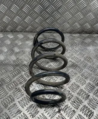 Rear coil spring