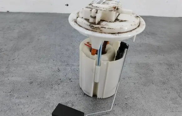 Peugeot 207 In-tank fuel pump 9684934480