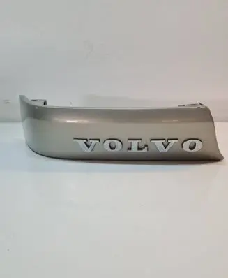 Rear/tail light trim molding