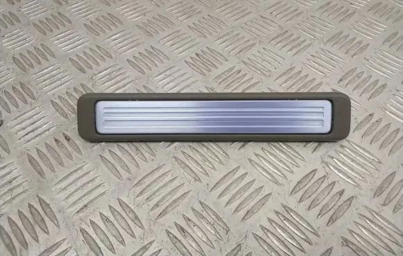 Nissan Murano Z51 Rear sill trim cover 769B31AA0A