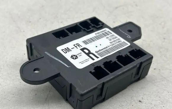 Dodge Charger Door control unit/module 68316560AC TLA4C121704BCA 2841585010300