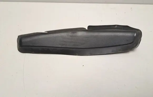 Rear/tail light trim molding