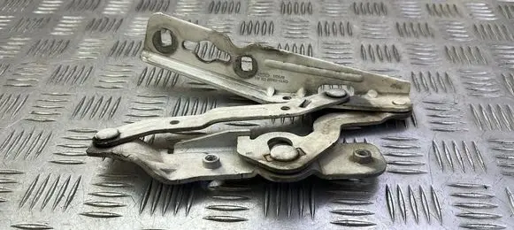 Ford Ecosport Engine bonnet/hood hinges CN1516800CB