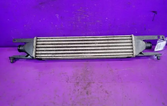 Fiat Punto (199) Intercooler radiator