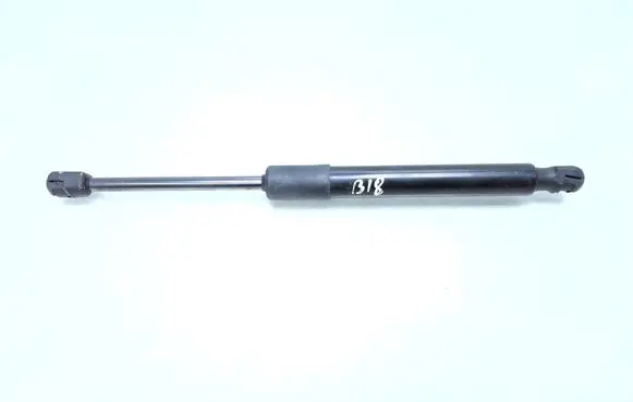 Tesla Model 3 Front bonnet/hood damper/strut 155148900B