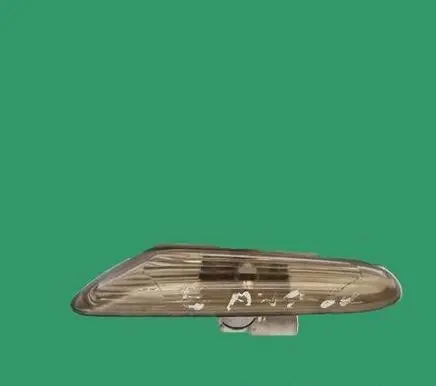 Front fender indicator light