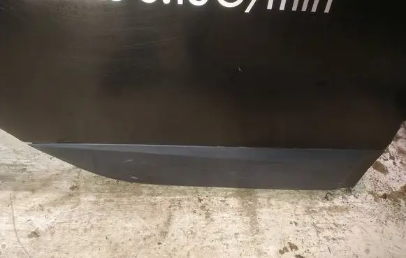 Renault Scenic III - Grand scenic III Rear door trim (molding)