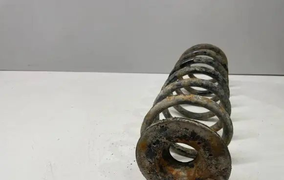 Volkswagen PASSAT B6 Rear coil spring