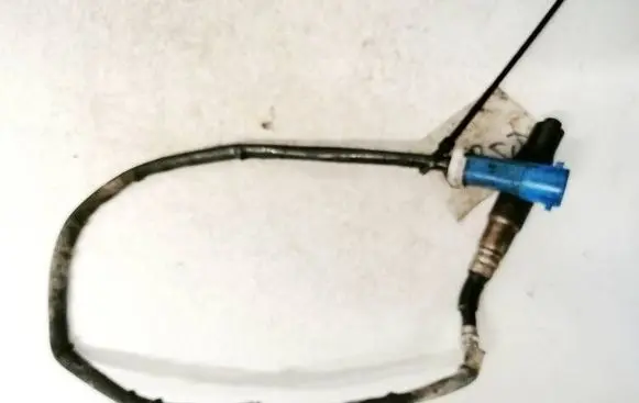 Ford Focus C-MAX Lambda probe sensor 0258006569